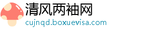 清风两袖网